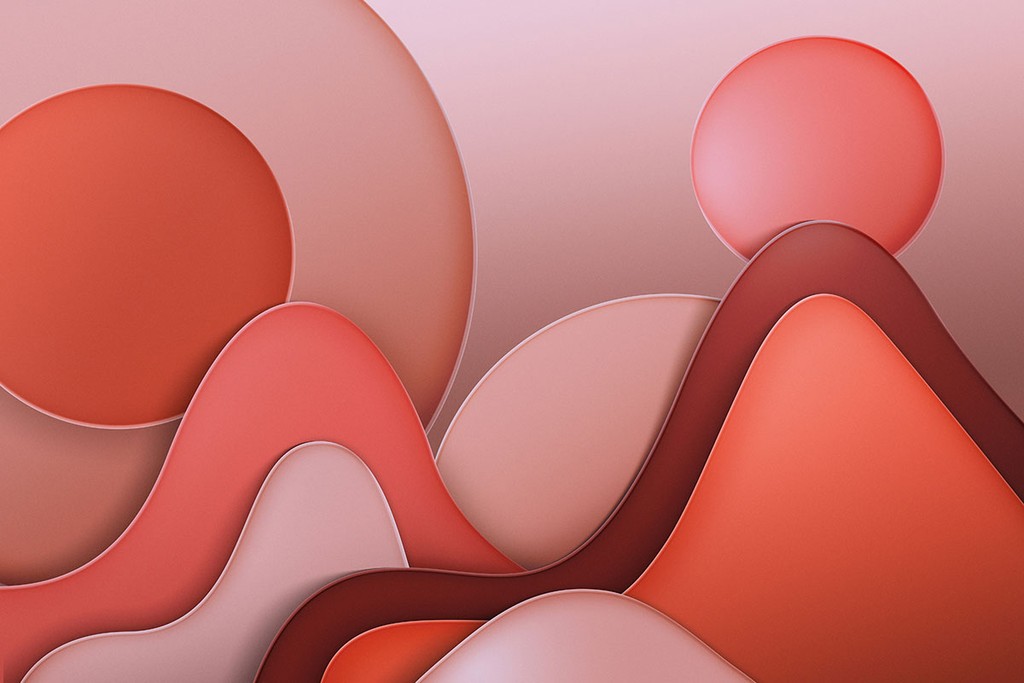 Project Content Image - 4